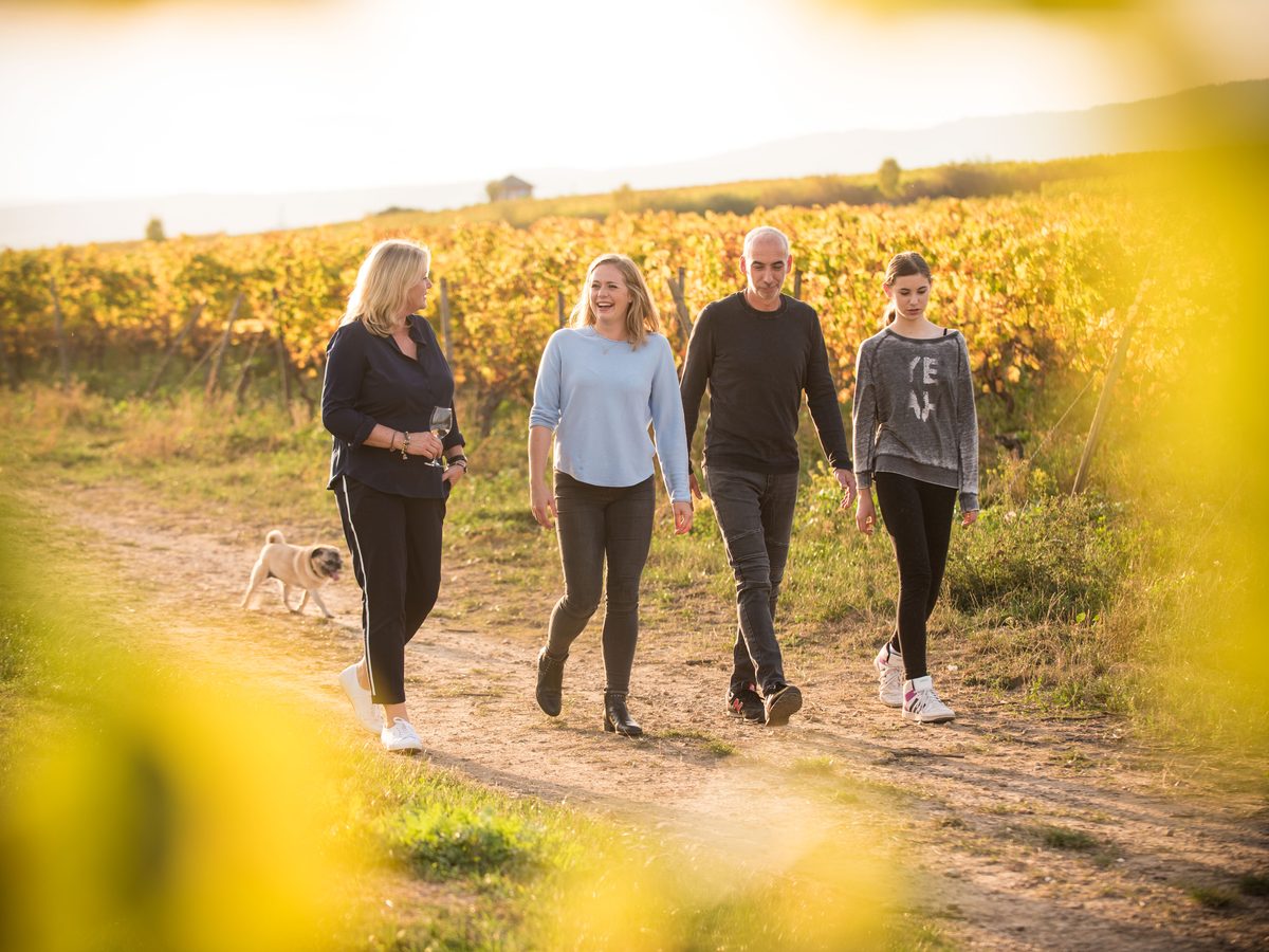Weinberge des Weinguts Friedel Russler in Walluf – Weinprobe im Rheingau nahe Mainz